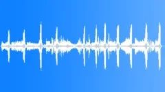 Lesser Spotted Woodpecker HungerSound Effect