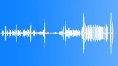 Lesser Spotted Woodpecker HungerSound Effect