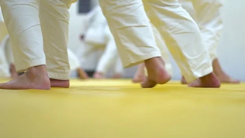 A lesson in Aikido Stock Footage 81770765
