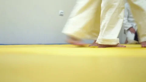 A lesson in Aikido Stock Footage 81773545