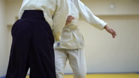 A lesson in Aikido Stock Footage 82331220