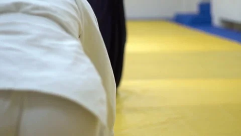 A lesson in Aikido Stock Footage 82331255