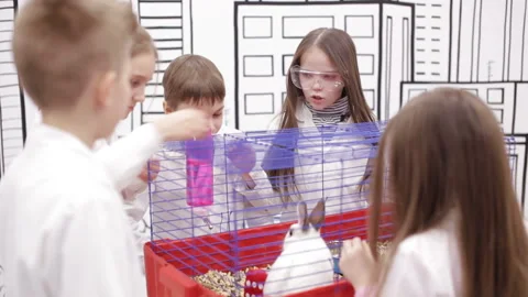 Lesson in biology in primary school Stock Footage 88917870