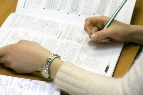 At the lesson Stock Photos