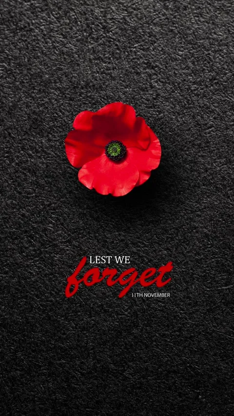 Lest We Forget 11th November inscription with Poppy flower on black textured Stock Footage 319908267