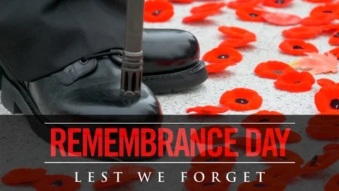 Lest We Forget, November 11th Soliders Remembrance Day Animated Text Background Stock Footage 95765515