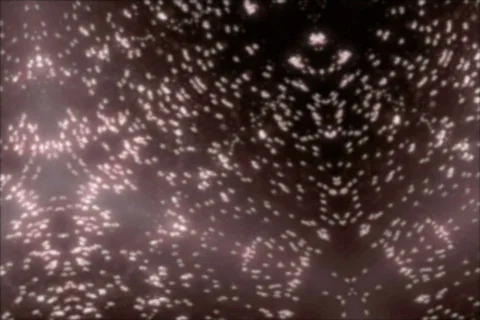 Let It Be Video Loop Stock-Footage 640472