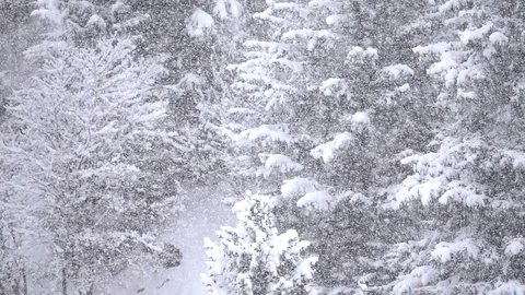 Let it snow Stock Footage 83109596