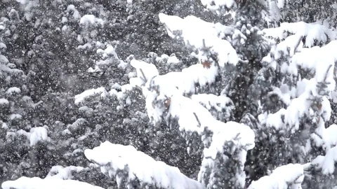 Let it snow Stock Footage 83110634