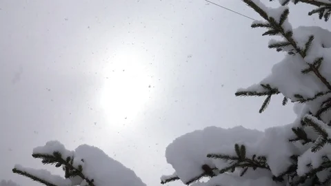 Let it snow Stock Footage 83119500