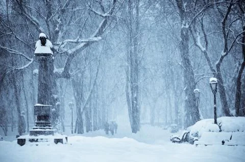 Let it snow Stock Photos