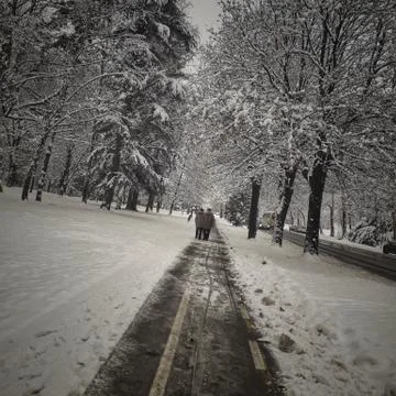 Let it snow Stock-Fotos