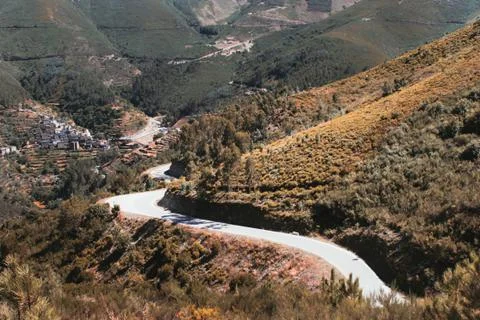 Let the leaves fall Stock Photos