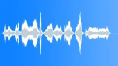 Let me read your fortune Sound Effect