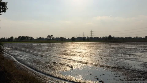 Let the water into the field to prepare. Stock Footage 89469865