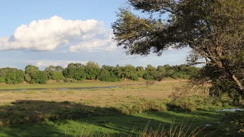 Letaba river kruger Park Stock Footage 196246778