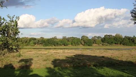 Letaba river landscape scene Stock Footage 209128034