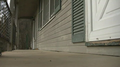 LetCatIn Video stock 327844