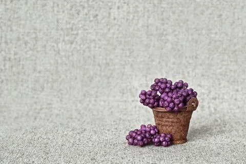 Lethargic berries in a rusty bucket on the background of the canvas - still l Stock Photos