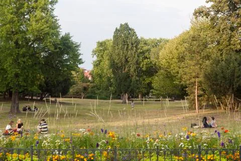 Letna park Stock Photos