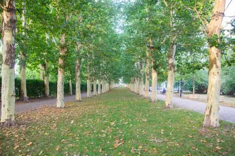 Letna park Stock Photos
