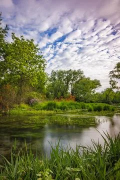 Letort Spring Run flowing through a peaceful meadow Stock Photos