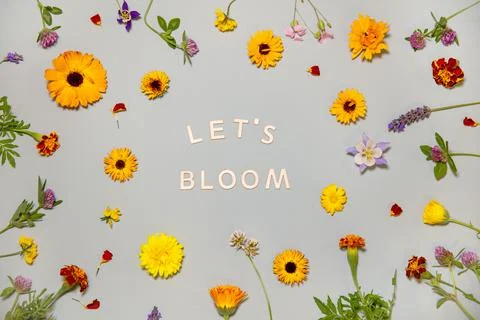 Let's bloom motivation poster Stock Photos