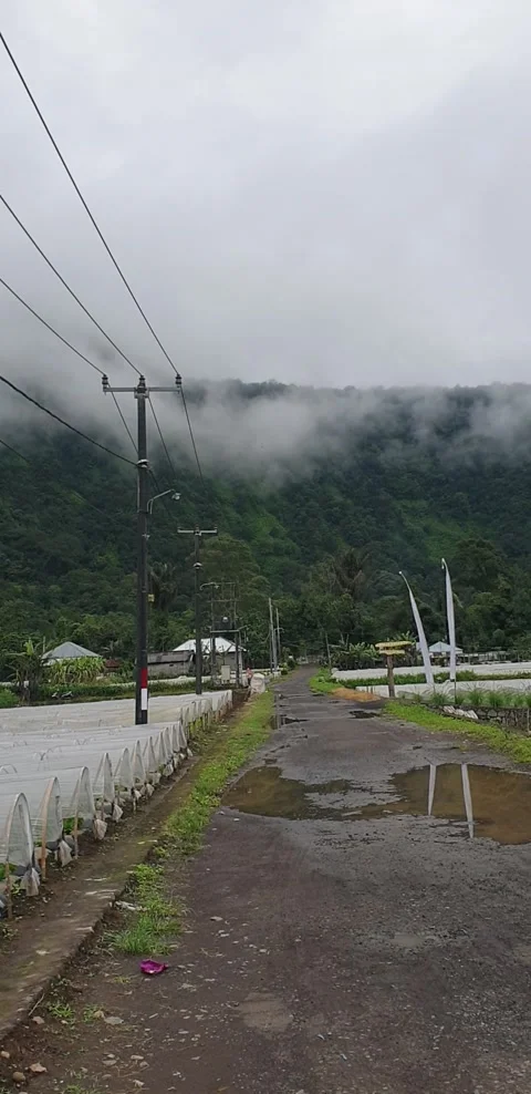 Let's garden Stock Footage 220039103