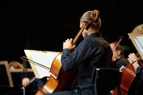 Lets get classical. musicians during an orchestral concert. Stock Photos