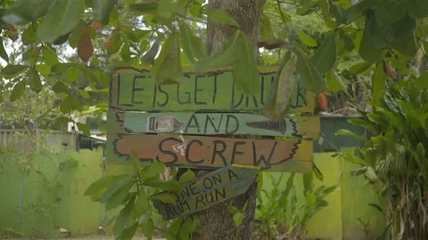 Lets get drunk and screw sign on a tree. 4K UHD. Video stock 72947892