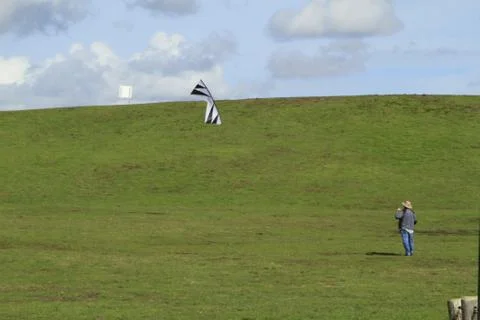 Let's go fly a kite! Stock Photos