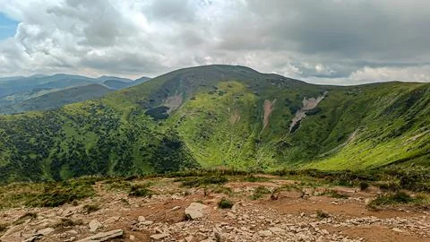 Let's go up the mountain. Landscape with clouds, pine trees and green grass.. Foto stock