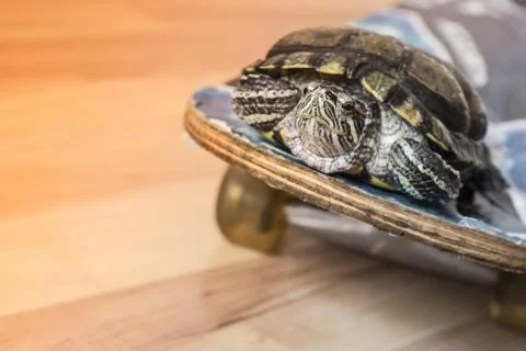 Let's hit the road! Stock Photos