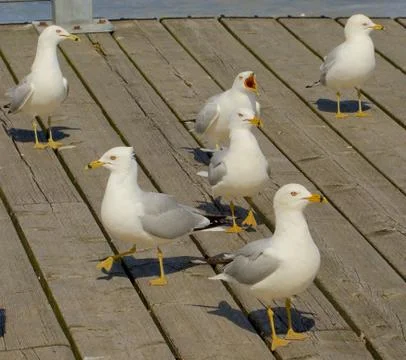 Let's work! Stock Photos