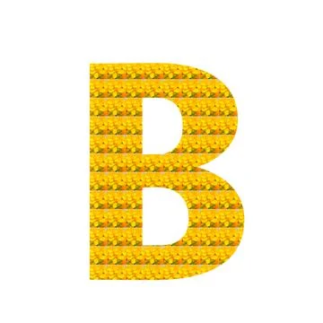 Letter B alphabet Illustrazione stock