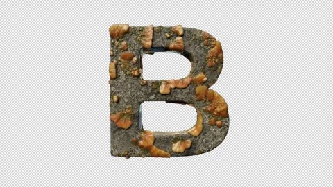 Letter B Stock Footage 306245650
