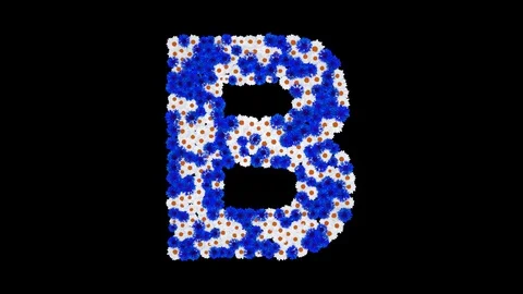 Letter B made of cornflowers and white daisy flowers Stock Footage 73942610