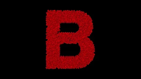 Letter B made of red roses Stock Footage 74167296