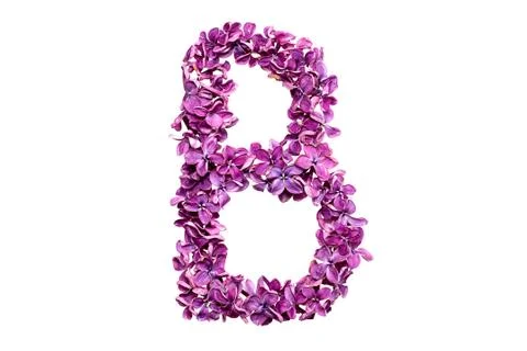 Letter B Stock Photos