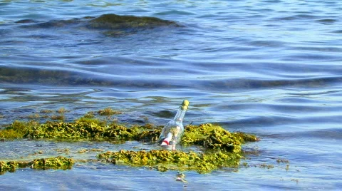 Letter in Bottle 動画素材 584990
