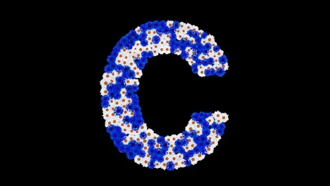 Letter C made of cornflowers and white daisy flowers Stock Footage 73942563