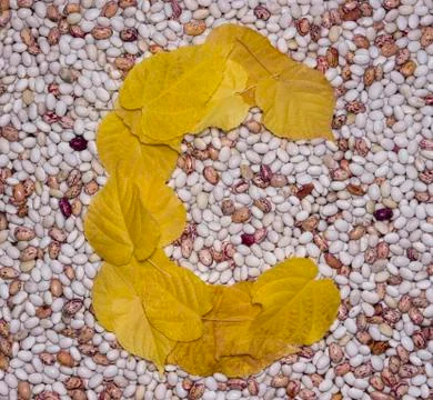 Letter c. Foto stock