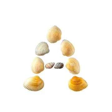 Letter "a" composed from seashells, isolated on white background Foto stock