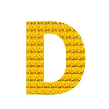 Letter D alphabet Stock-Illustration