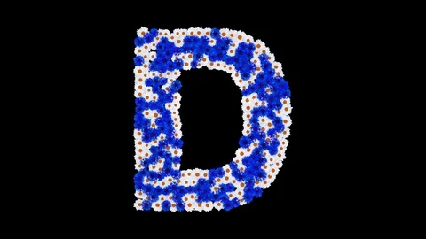 Letter D made of cornflowers and white daisy flowers Stock Footage 73942576