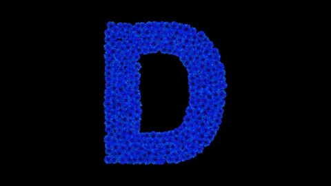 Letter D made of cornflowers Stock Footage 73942076
