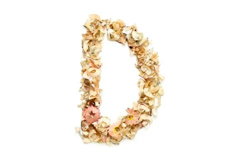Letter D Stock Photos