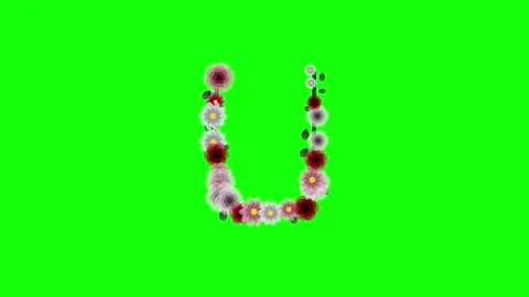 Letter Dynamic on Chroma Key for Compositing Stock Footage 337996456