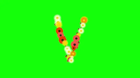 Letter Dynamic on Chroma Key for Compositing Stock Footage 337996460