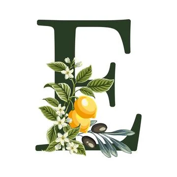Letter E from Alphabet with lemons and olive branches illustration. Perfect.. Stock Illustration